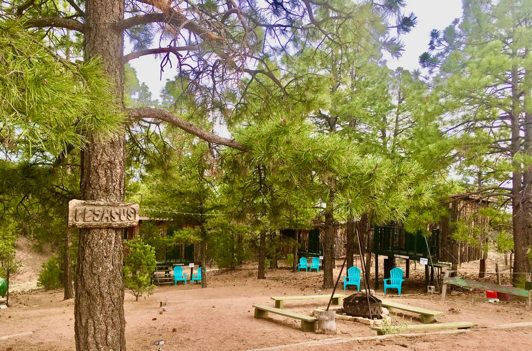 Pegasus treehouse Village. Bring your own small lock for the door latches.