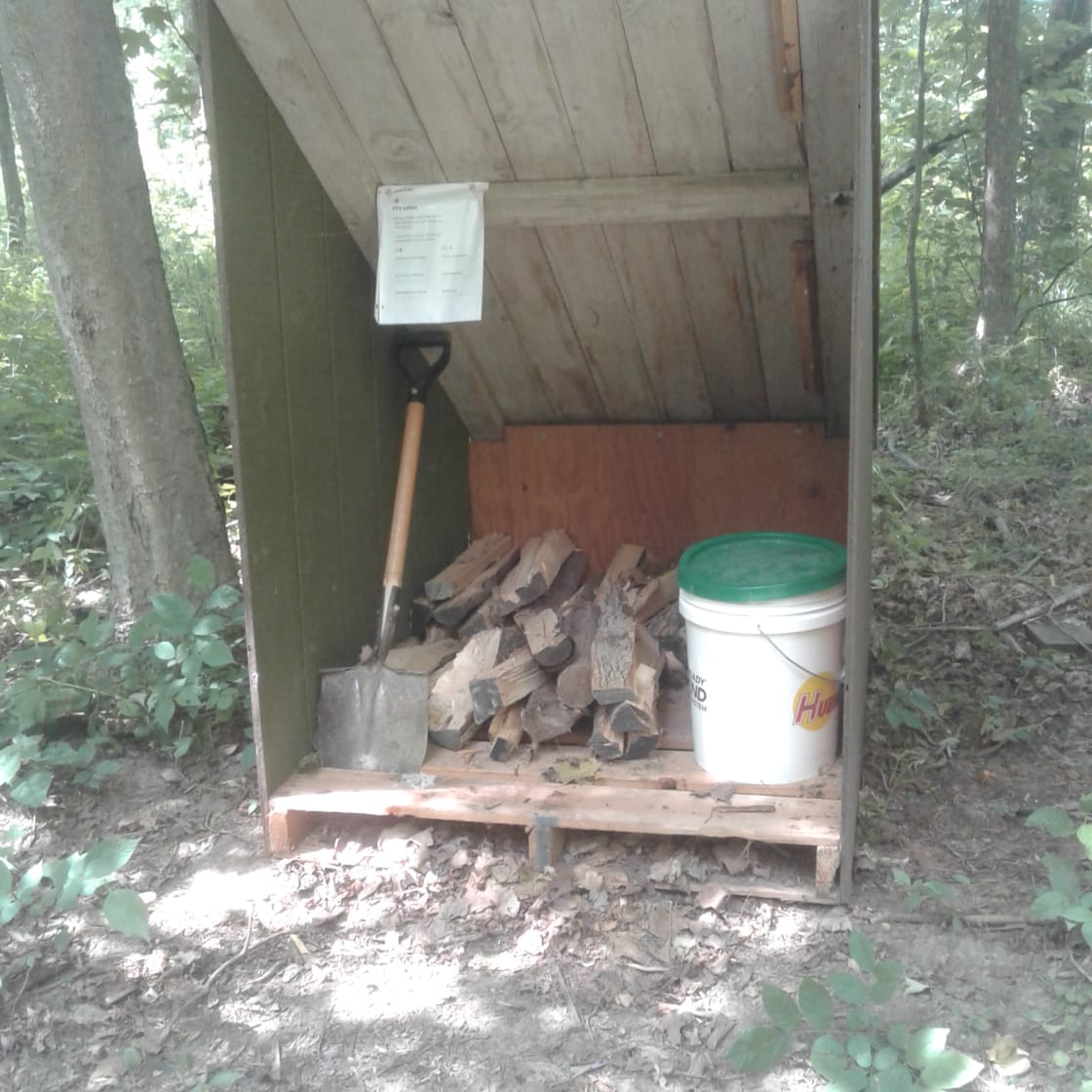Free firewood 