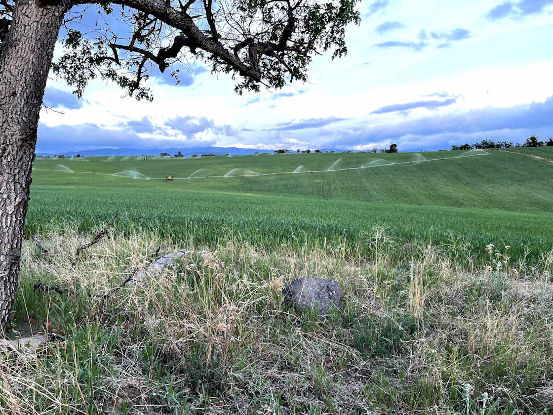 Carbon Farm Mt Hood