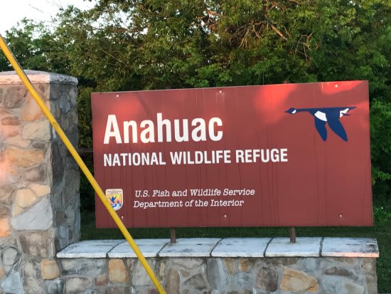 A short 10 minute drive, discover the National Wildlife Refuge of Anahuac.