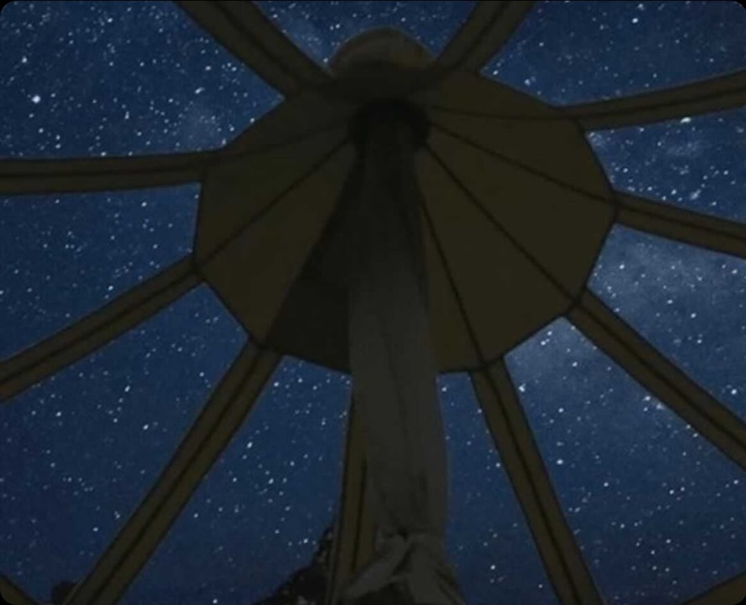 A view of the night sky from inside our fabulous Lotus Belle Stargazer tent.