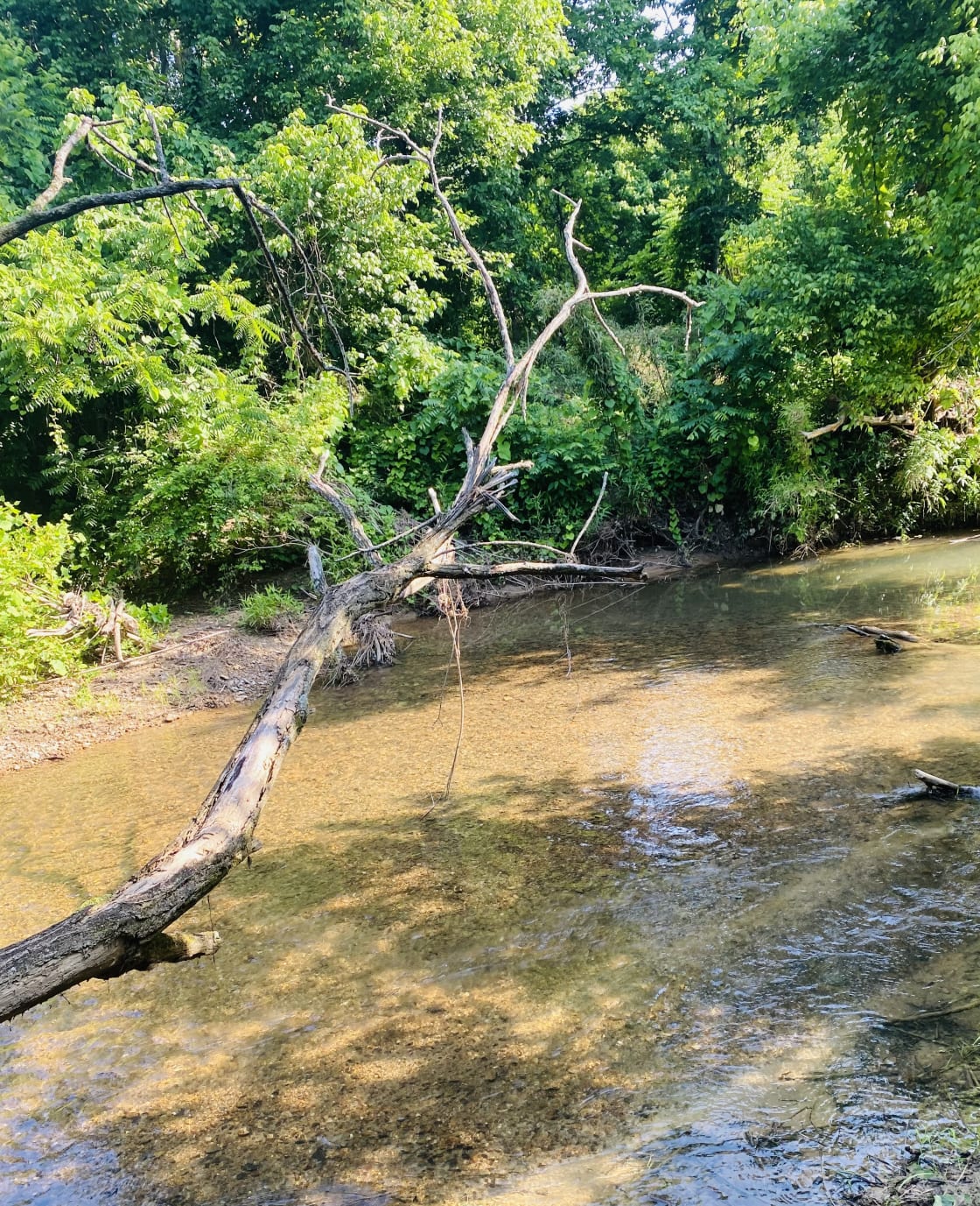 On the Creek Retreat