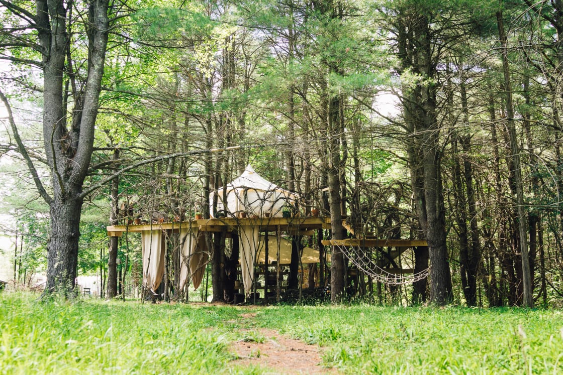 The amazing treehouse