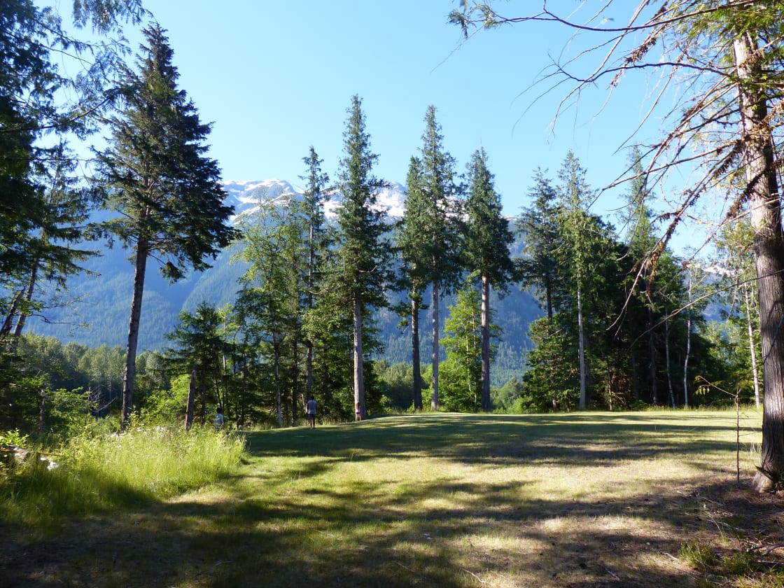Main cleared area for camping atop high bench overlooking the Bella Coola River.