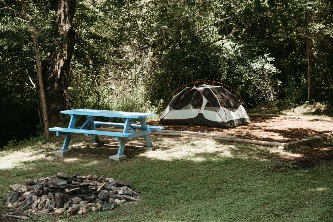 View of the campsite.