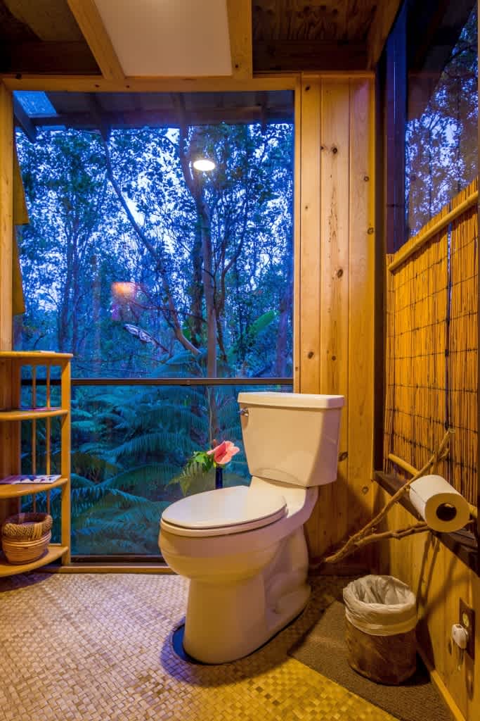 TreeHouse in canopy of trees