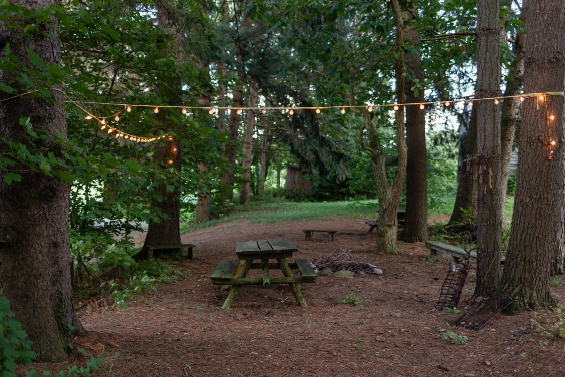 Picnic area with market lights.