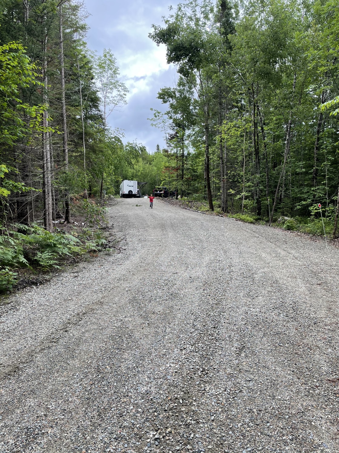 Driveway into Camp with Stone Fireplace