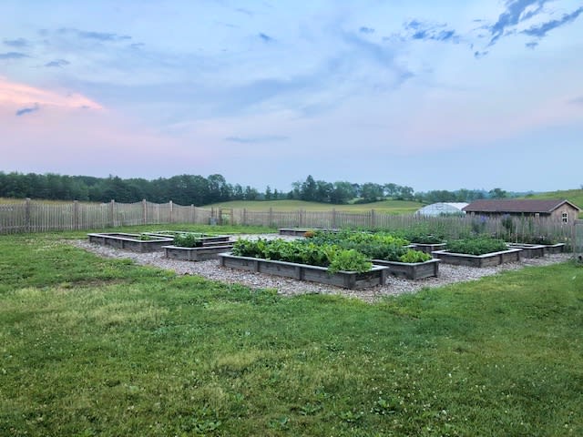 Raised beds full of organic greens and edible flowers.