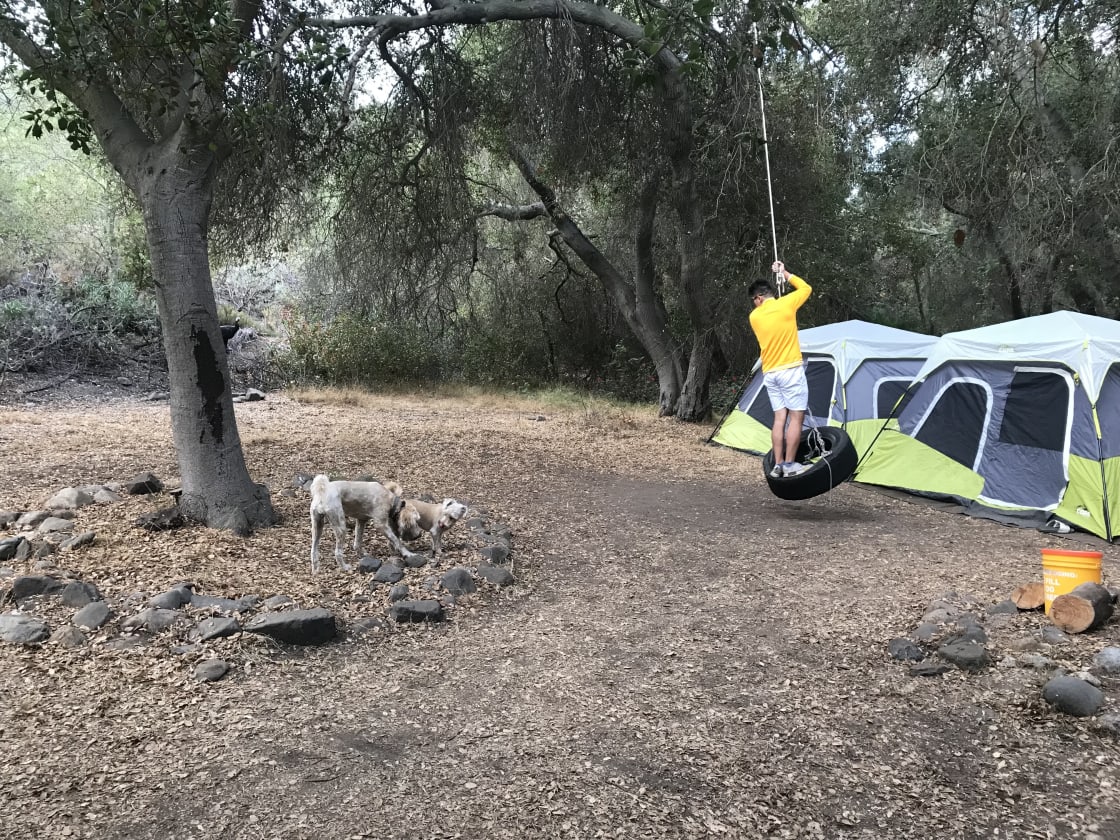 Ohana Goat Ranch and Campsite