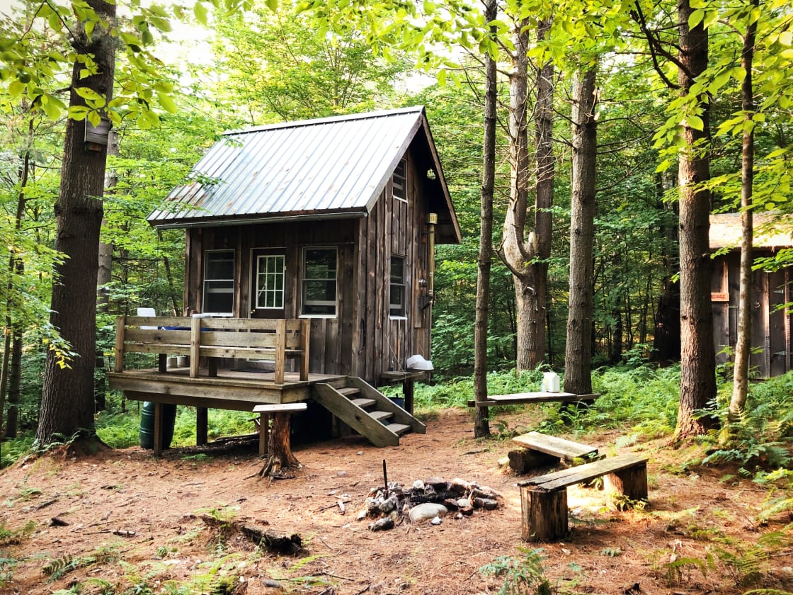 The cabin sits in it's own clearing in the woods.