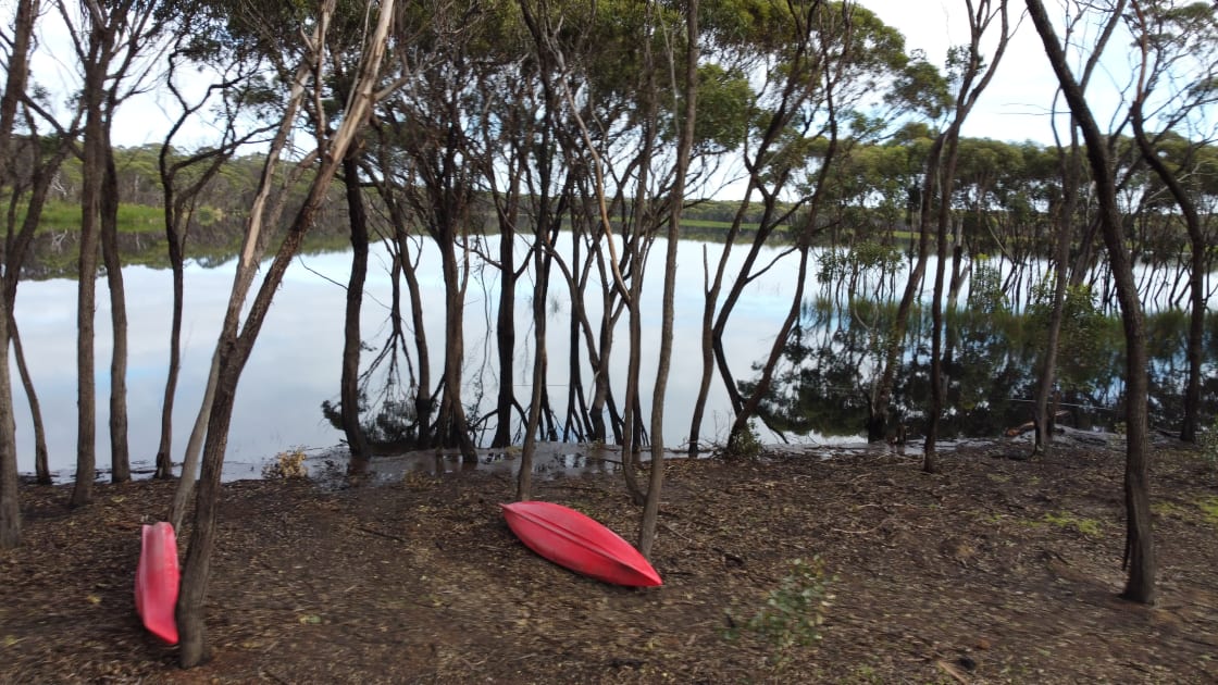 canoes available to paddle on Qualinup wetland
