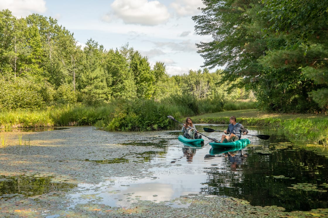 Went out on the kayaks to get a different perspective of the ponds. Kayaks are free to use for guests.