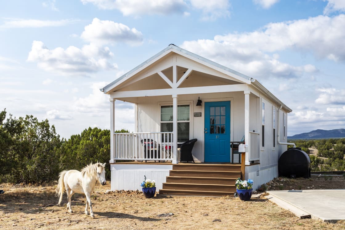 Wake up with MiniHorses Cottage