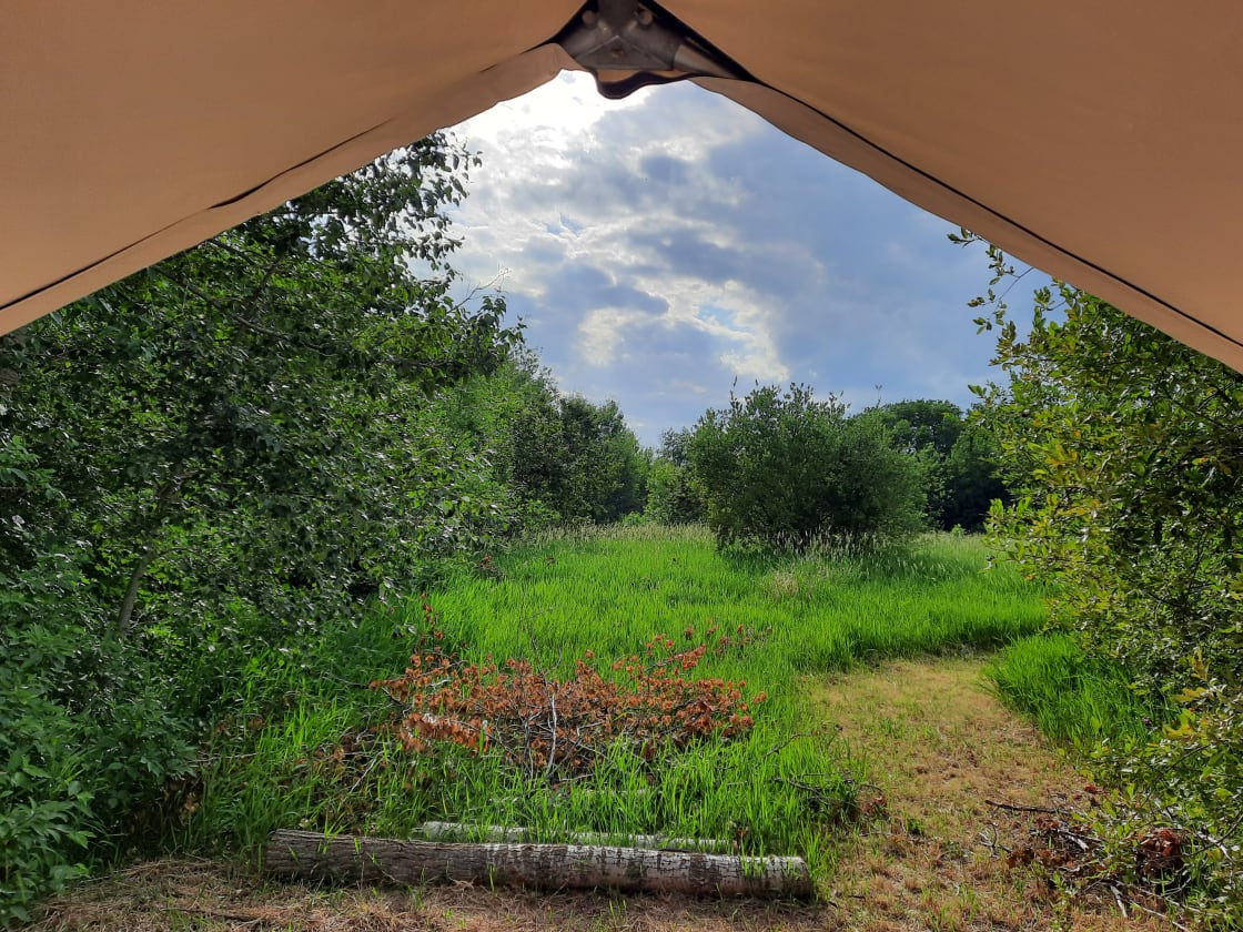 From inside Deluxe Wall Tent looking out at 45 acres of peaceful and pristine forest, meadow and grasslands.