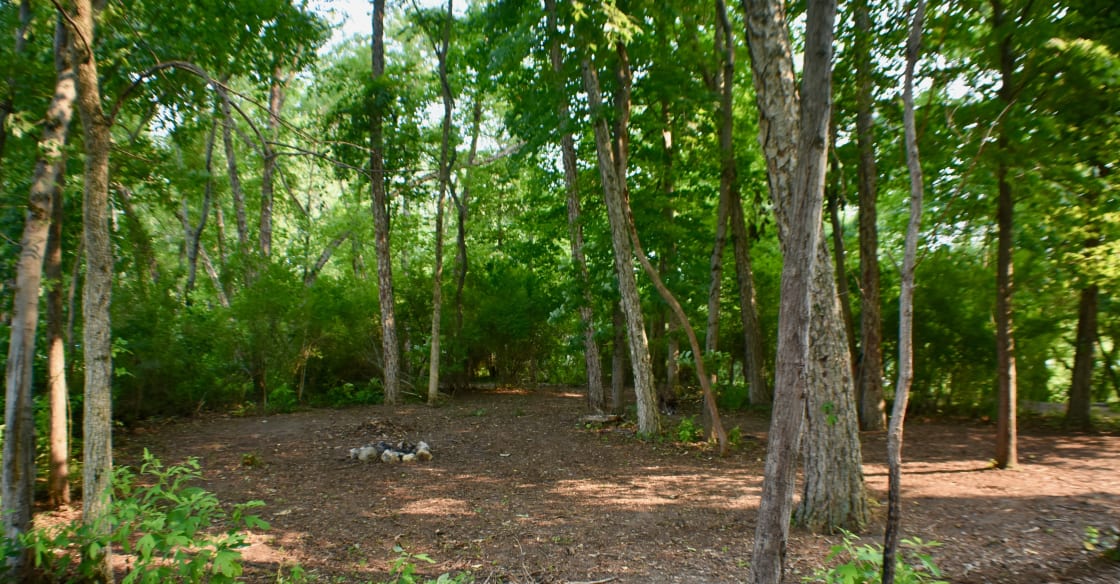 Site #1 is a wooded site with enough space for 3-4 tents and 6-8 people, fire pit included