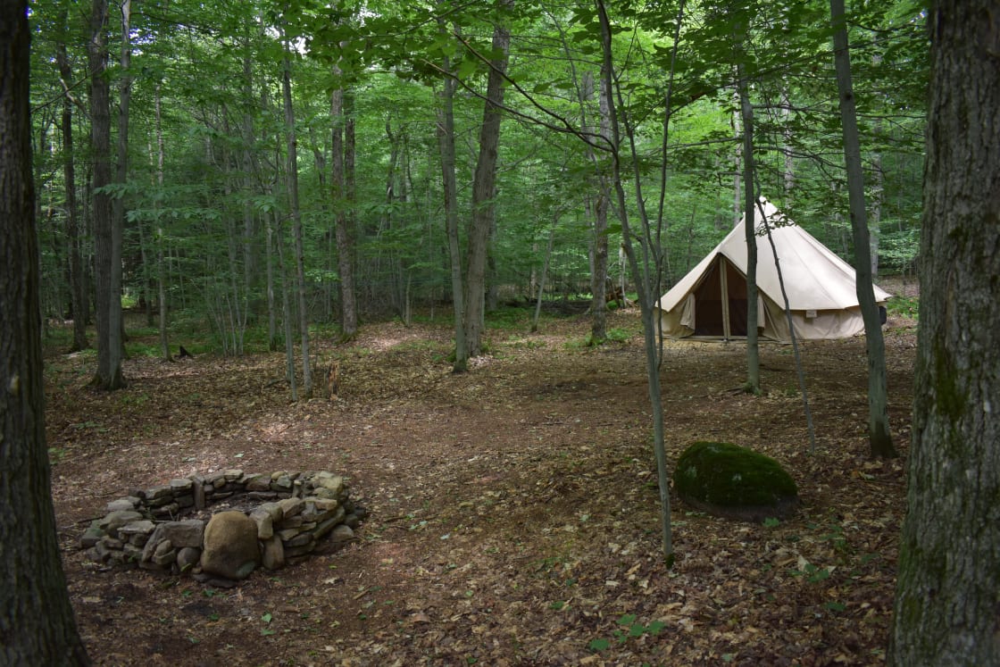 Forrest For The Trees Camp