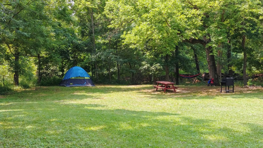 Campsite next to the creek