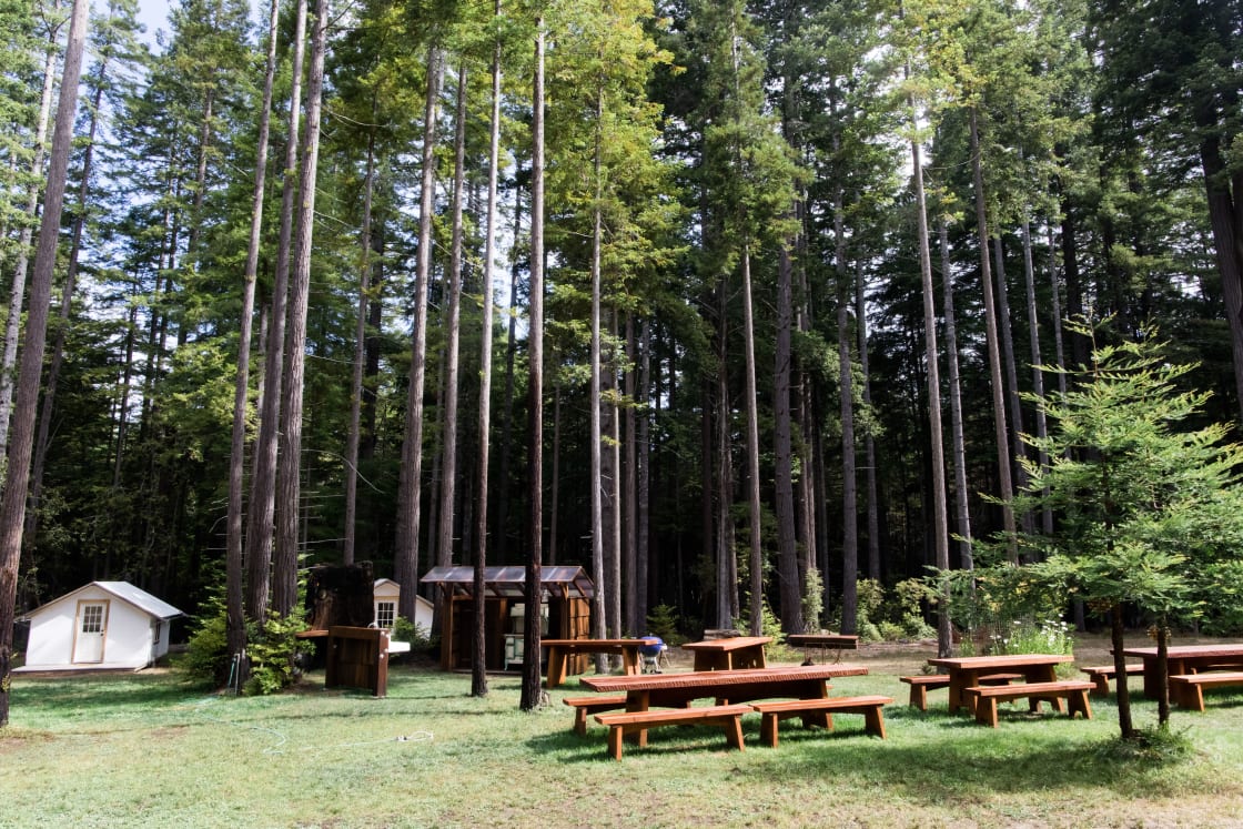 Giant redwood dining tables and the camp kitchen. 