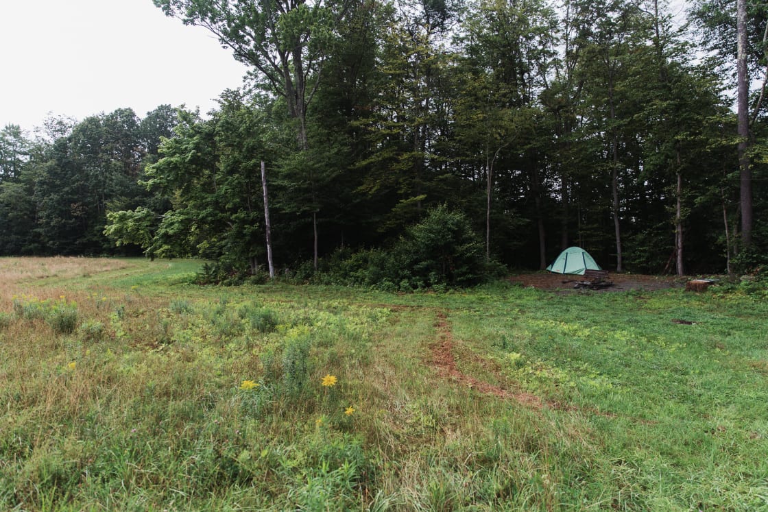 Wide view of the site and surrounding meadow, complete privacy (my favorite). 