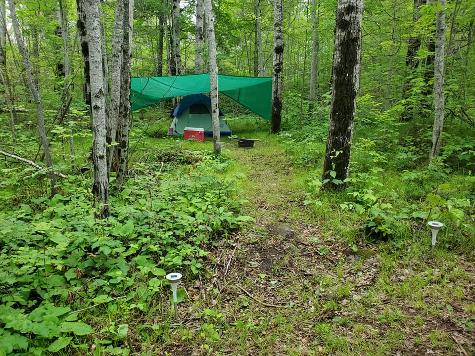 Juniper Rock Forest Camping