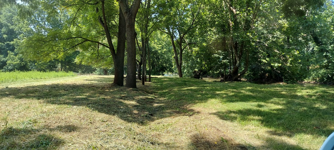 shaded campsites, Reed Creek to the right