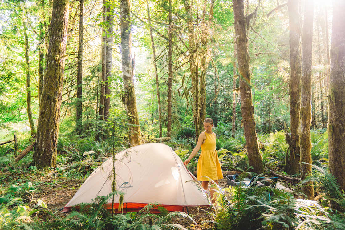 Our tent site within the forest.