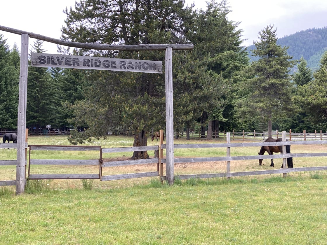 Horse Pastures Throughout