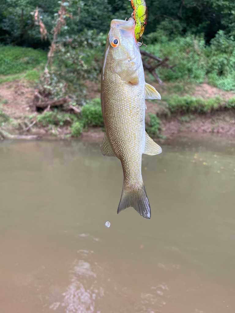 Fishing at the river.
