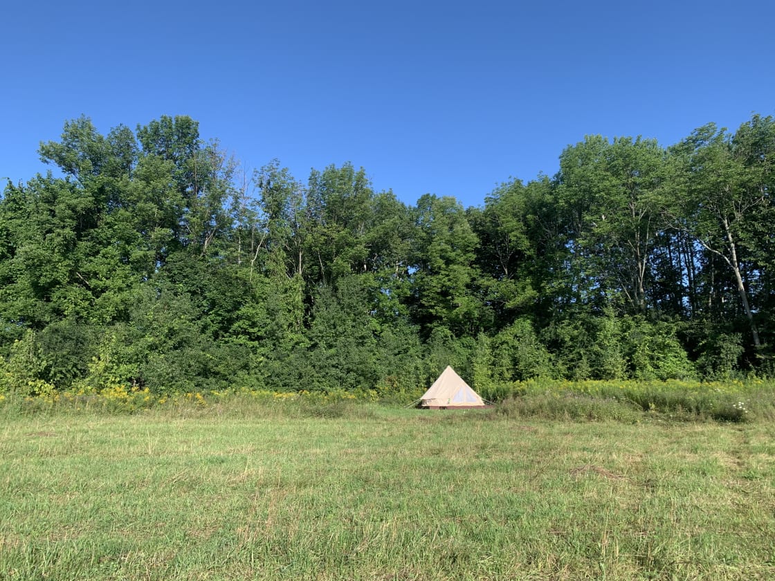 Bell Tent in the field