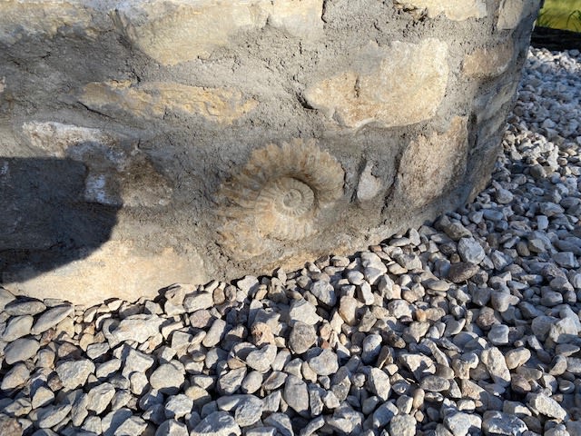 Ammonite Fossil in Fire Pit - Site 2