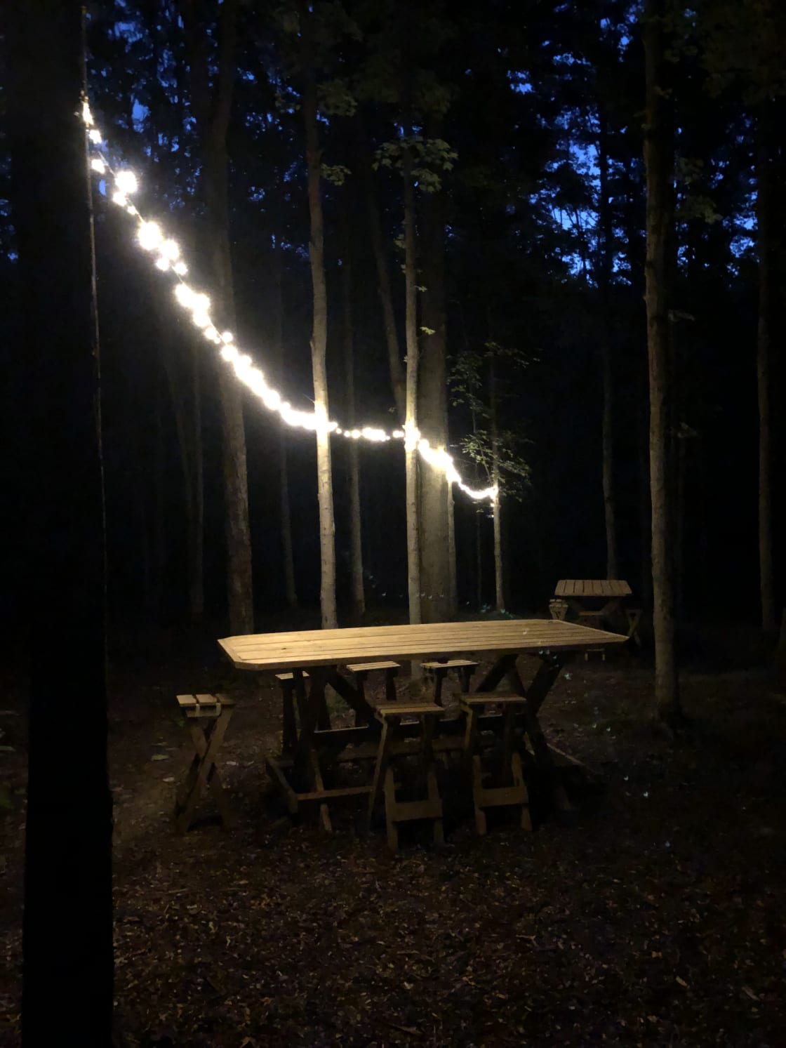 Solar powered lights are above the tables
