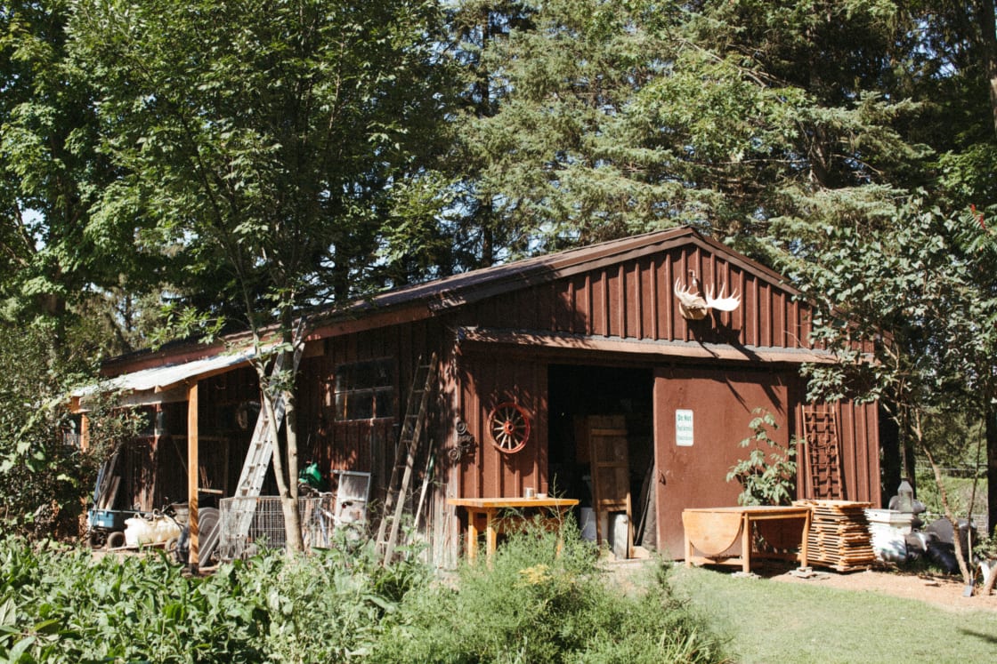 This barn is the gateway to more animal friends including rams, pigs and cows.