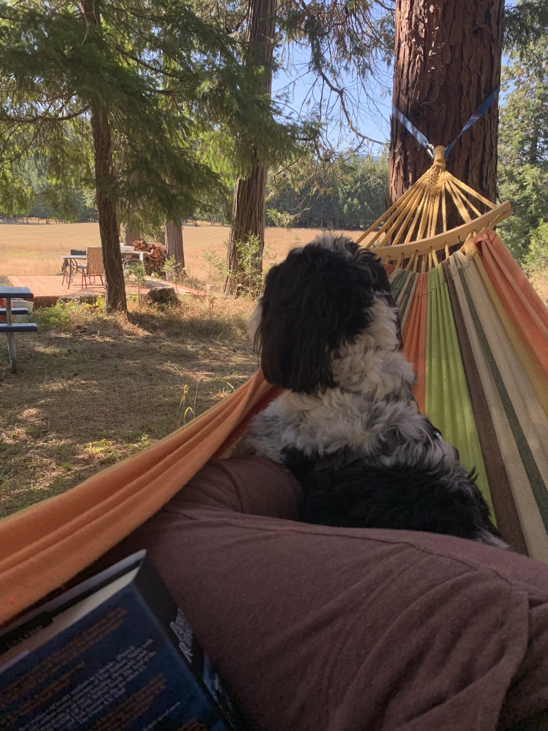 Hammock time is one of the best parts of camping!