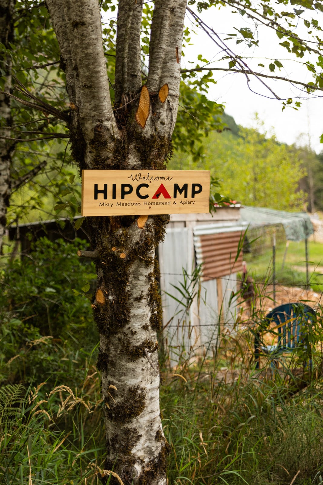 Easy to find the driveway with a big Hipcamp sign
