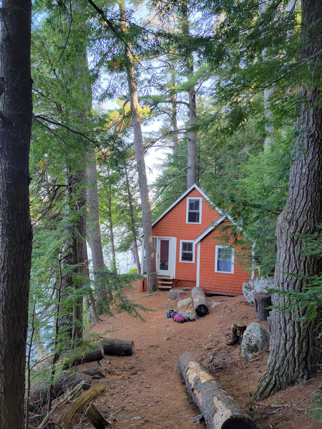 Cabin 1 is nestled near the stream beneath towering pine trees