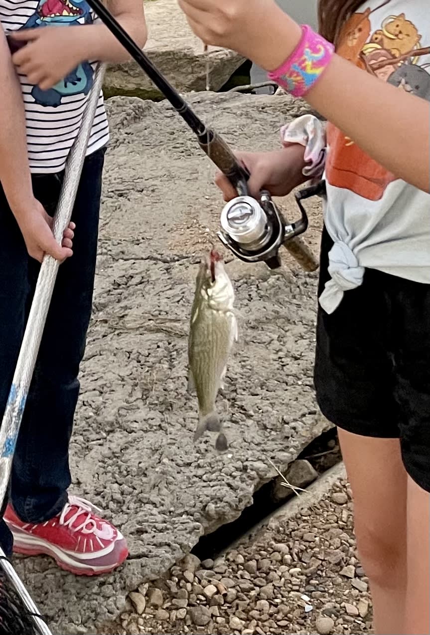 Kids enjoyed catching little fish @ Union Reservoir