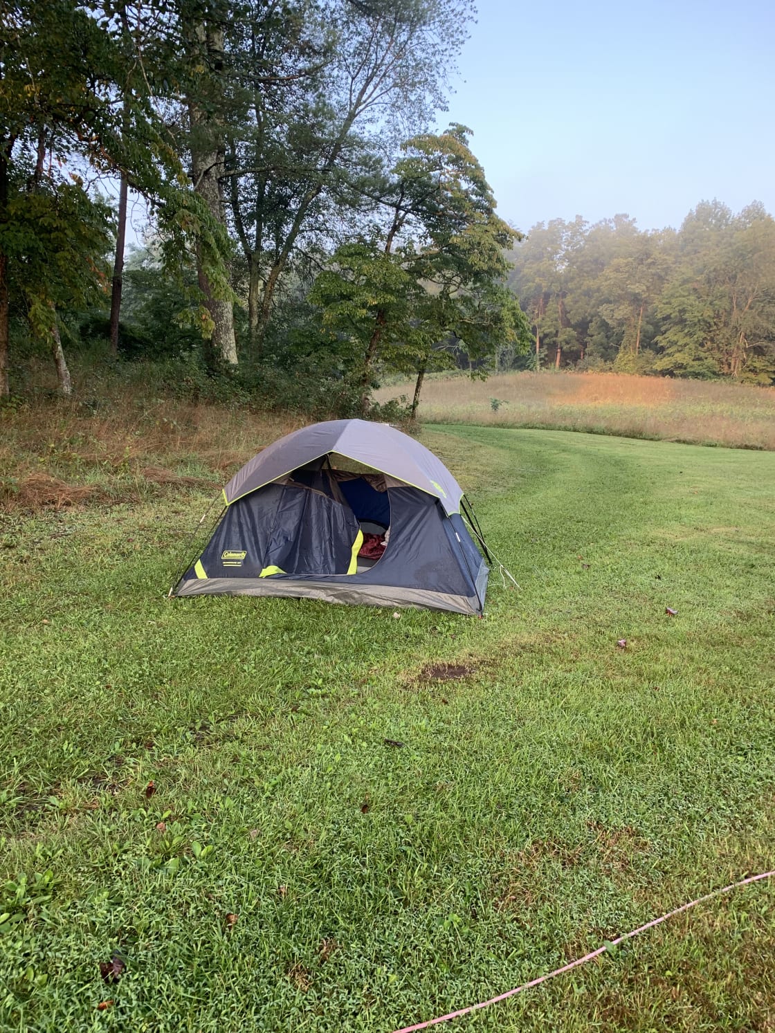 Solo camp with my dog