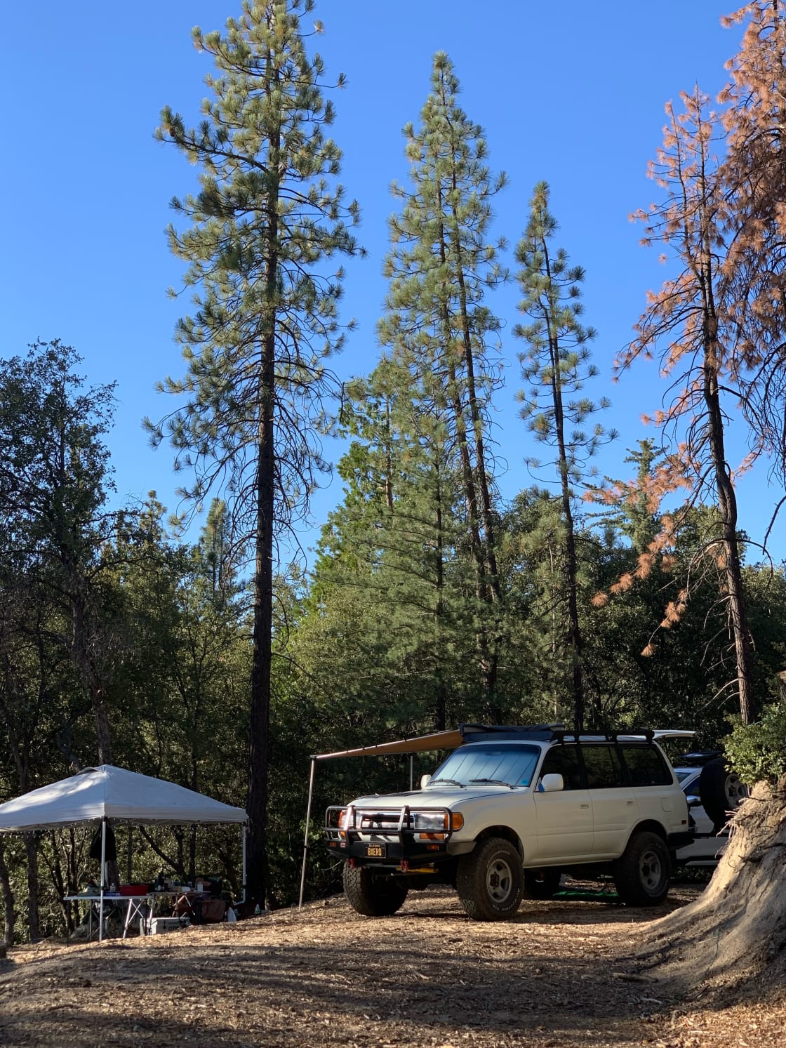 Campsite at the bottom of the hill (4x4 or AWD required).