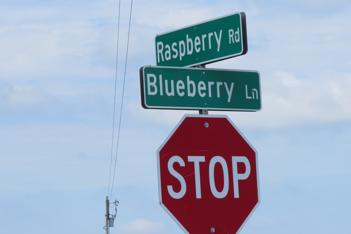We live on the corner of these streets.  Google map shows us as living on Rd. 402 not Blueberry Lane.
