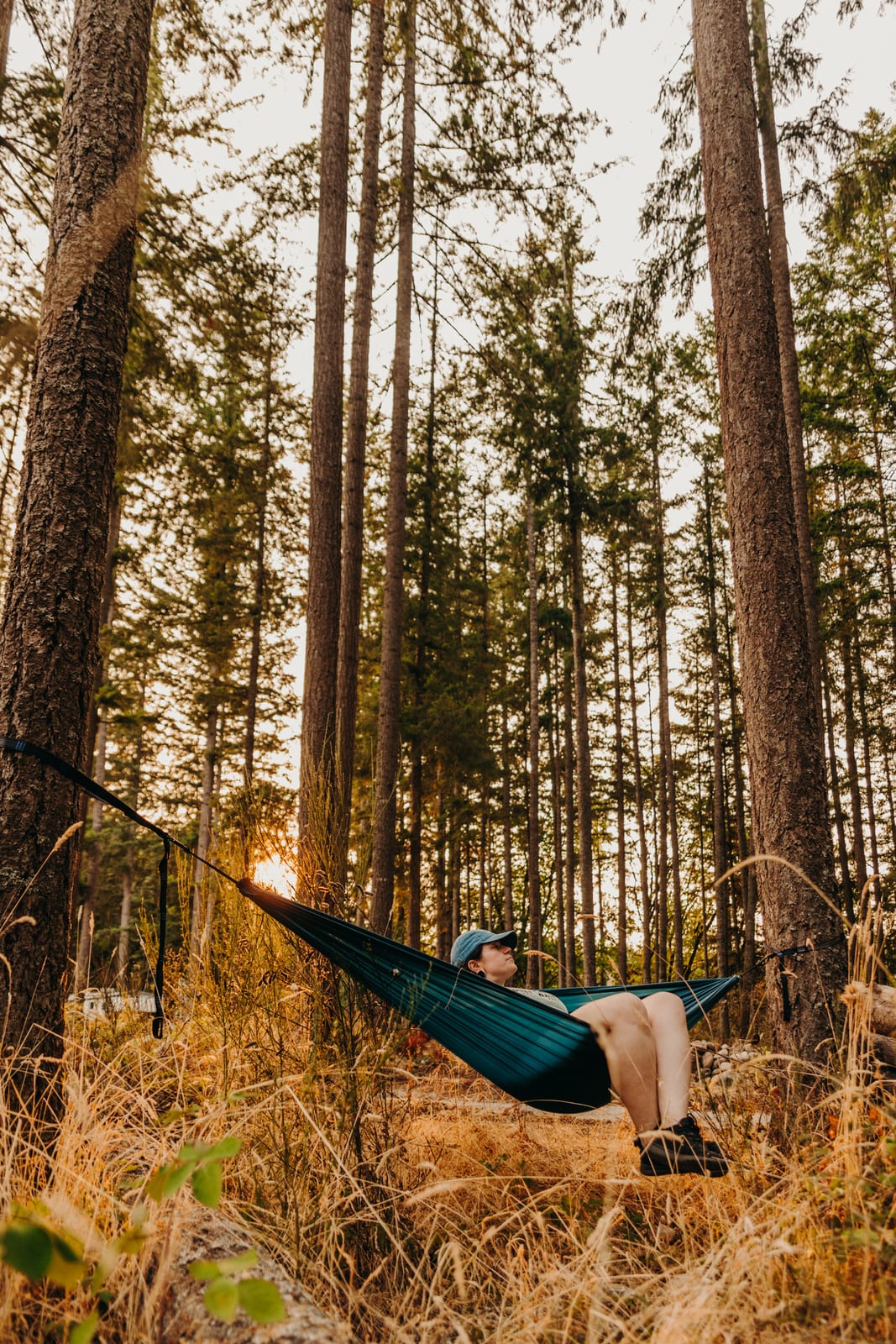 Great trees for putting out your hammock!