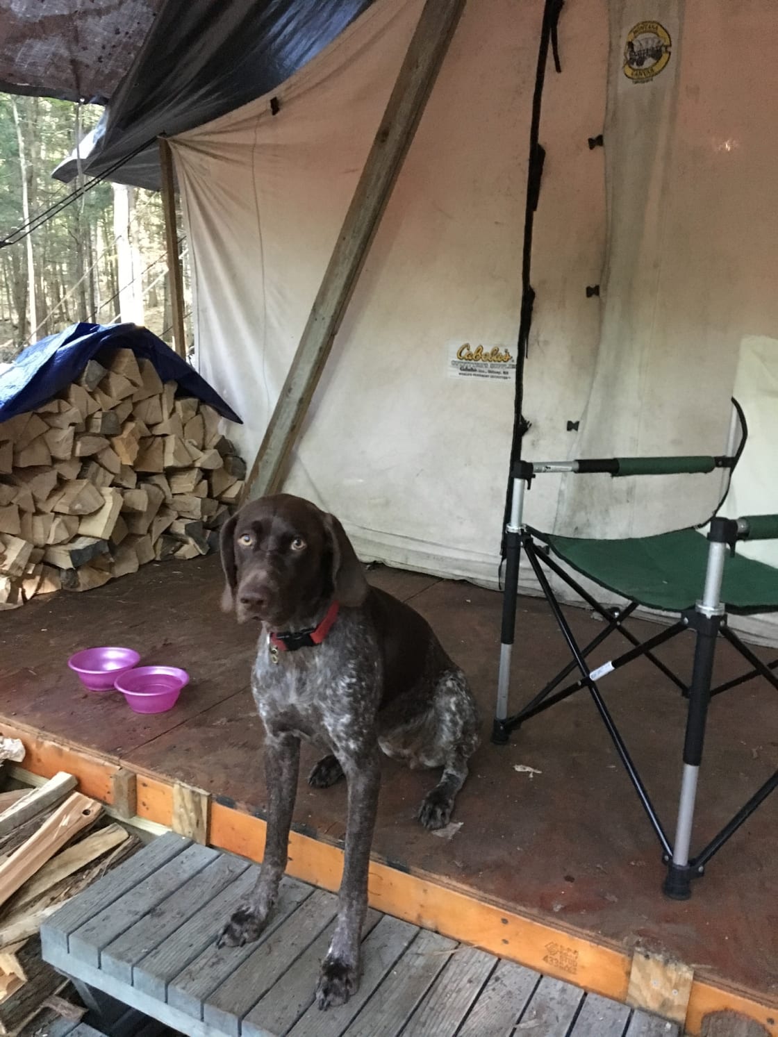 Scout says the camp is her favorite place on earth!