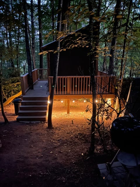 String lights around the treehouse!