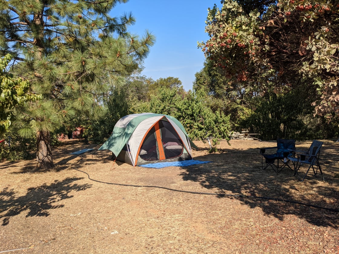 Campsite Blue Dream. Our biggest site. Example tent (Not provided)