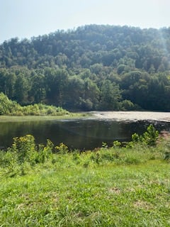 Cheat River River Site #1