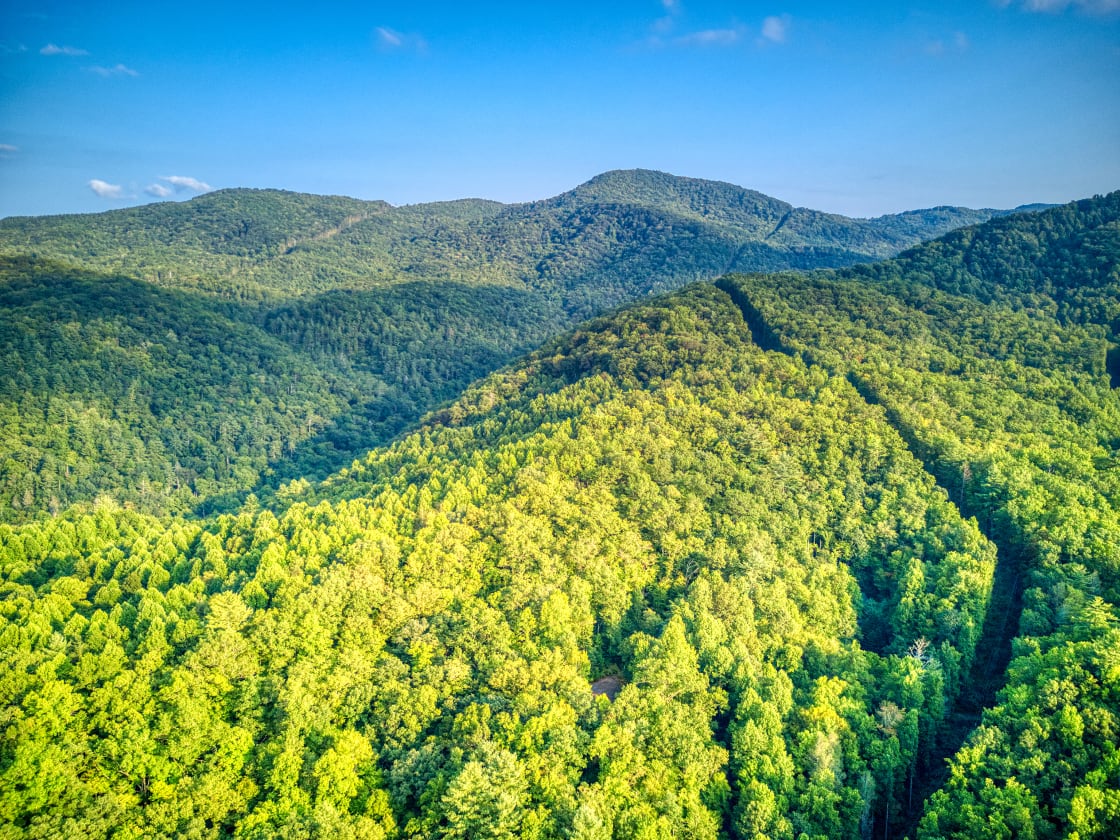 Property borders the Pisgah National Forest and is next to the Great Smoky Mountains National Park