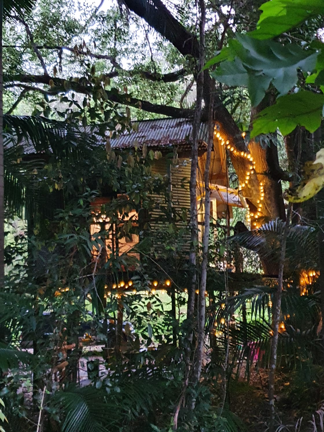 Crystal Creek Rainforest Treehouse