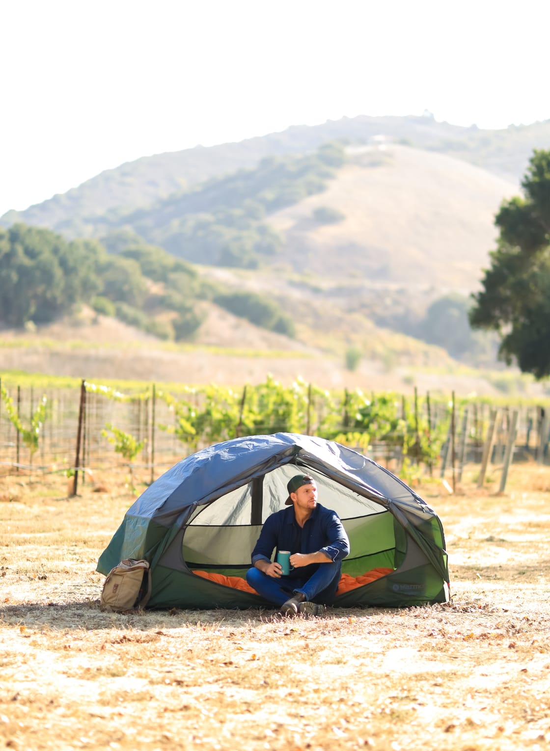 Camping next to the Vineyards 