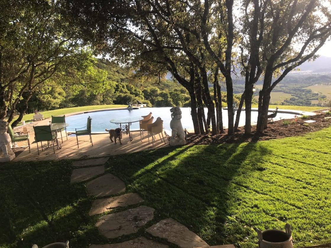 Our fully shaded yard leading to the pool and dining area.