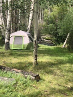 You don't get much better than camping on Rock Creek! So clean, fresh and serene! A place the locals hold dear and have great respect for the area...pack it in pack it out! 